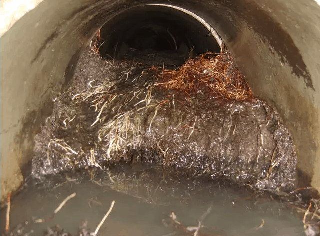internal image of blockage in sewer line